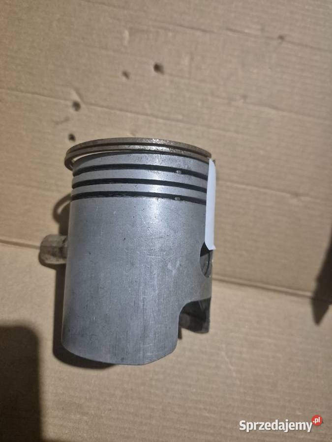 Mz es jaskółka tropchy tłok śląskie