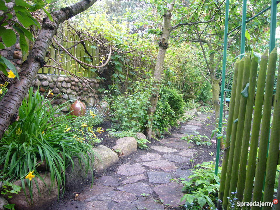 dom z ładnym ogrodem sprzedam