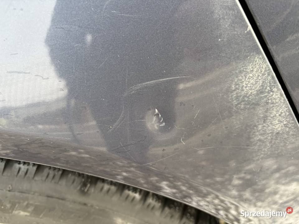 Opel Insignia OPC Line Cosmo kombi 20CDTI 2010 163KM małopolskie Gorlice