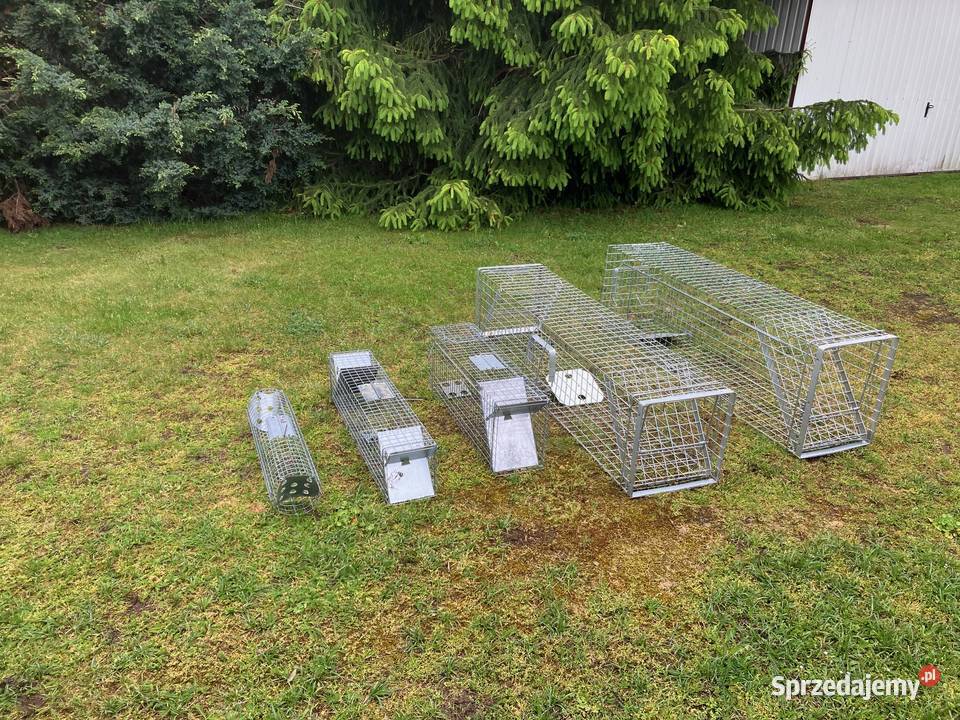 Żywołapki na szkodniki Drużbice