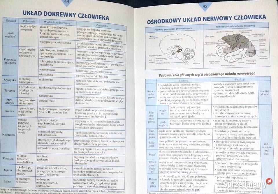 Bioligia Małe tablice W Mizerski B Bednarczuk I Chełm