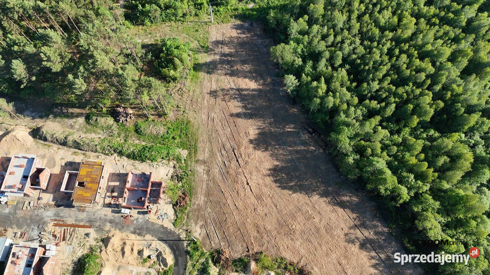3 Działki Budowlane Borków Daleszyce Zalewie