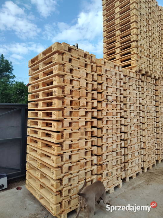 Palety drewniane Wrocław