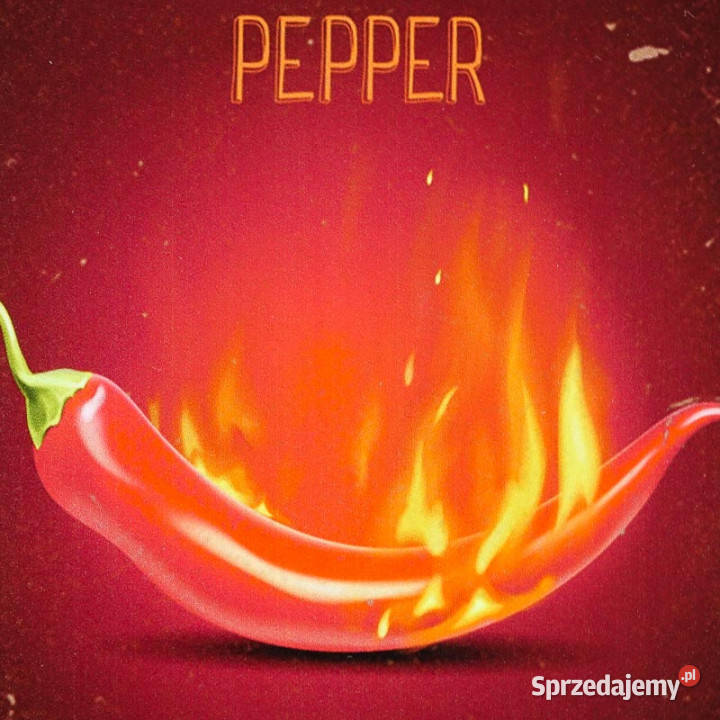 Tabliczka dekoracyjna metalowa CHILI inny kolor Chmielnik sprzedam