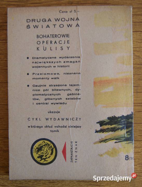 Żółty Tygrys Kierunek Puszcza Solska 870 Parczew