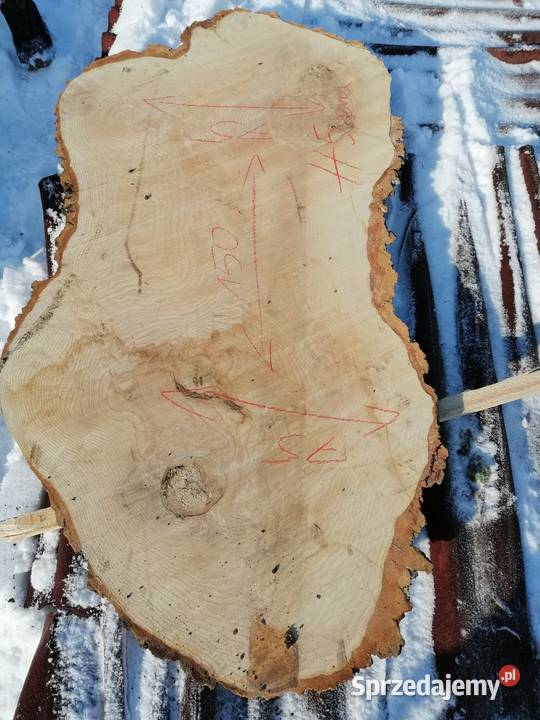 monolit 200x100x115x92 jesion stół blat Dąb Przysucha