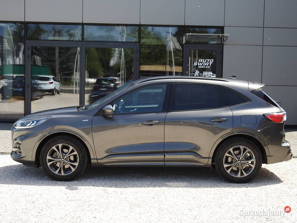 15 TDCI 150 AUT STLINE BEZWYPADKOWY ORYGLAKIER I Mielec