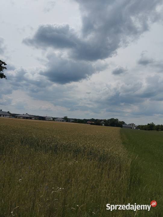 Działka rolno budowlana PIOTRKÓW TRYBUNALSKI prąd Piotrków Trybunalski sprzedam
