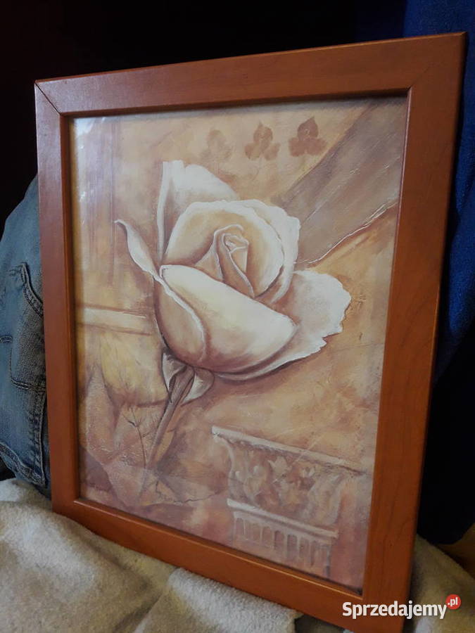 OBRAZY SĄ PODPISANE Czytaj Opis Proszę Tomasz mazowieckie Warszawa