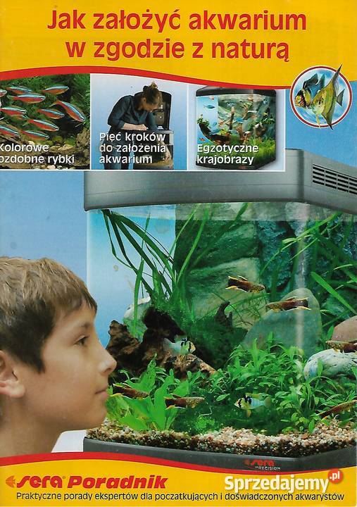 założyć akwarium w zgodzie z naturą Poradniki, albumy i reportaże lubelskie Puławy