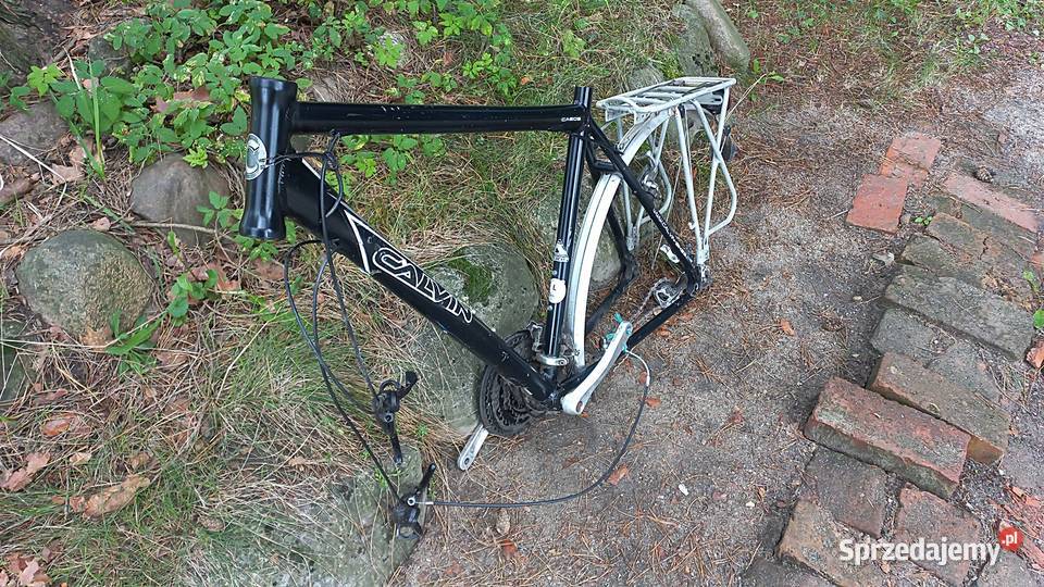 Rama Rowerowa Rower Męski Calvin CA605 Alu 7005 Wołów