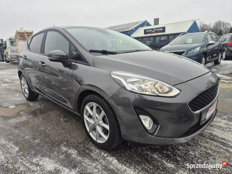 Ford Fiesta 10 Turbo 100 5drzwi Ładna Mk8 2017 benzyna Gniewkowo
