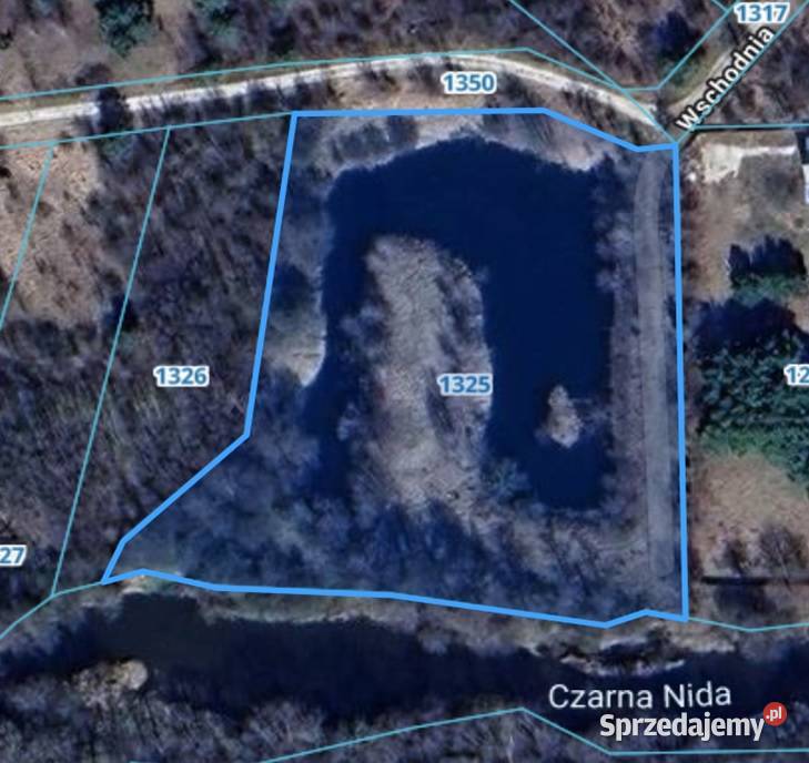 Działka rekreacyjna 8259m2 Brzeziny sprzedam