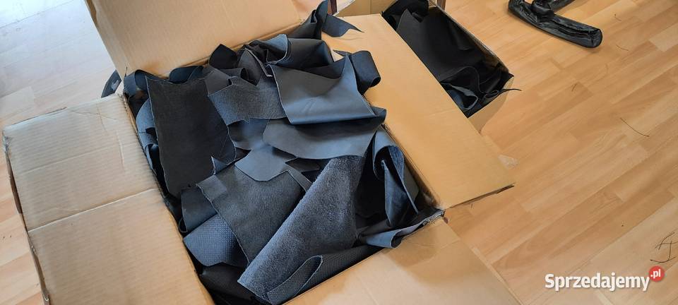 Skrawki skóry skór I gatunku Gutowo Małe