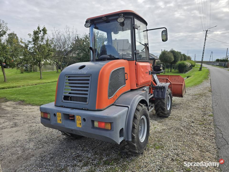 Ładowarka Everun er12 widlak case cat terex jcb Frydek