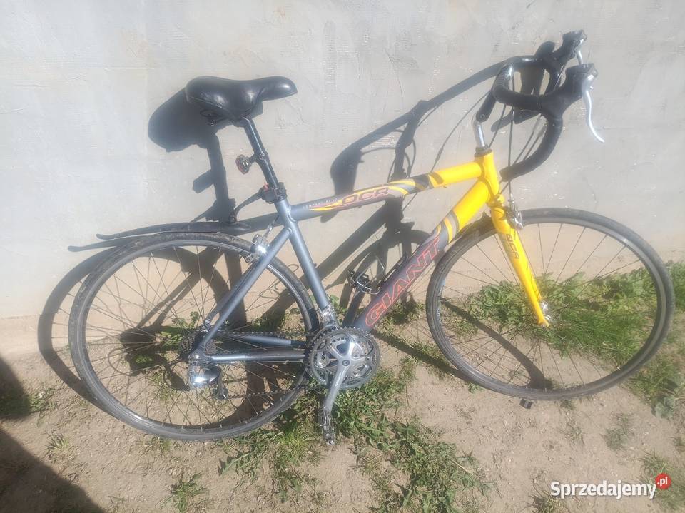 Rower kolarstwo Miejskie Świecie nad Osą