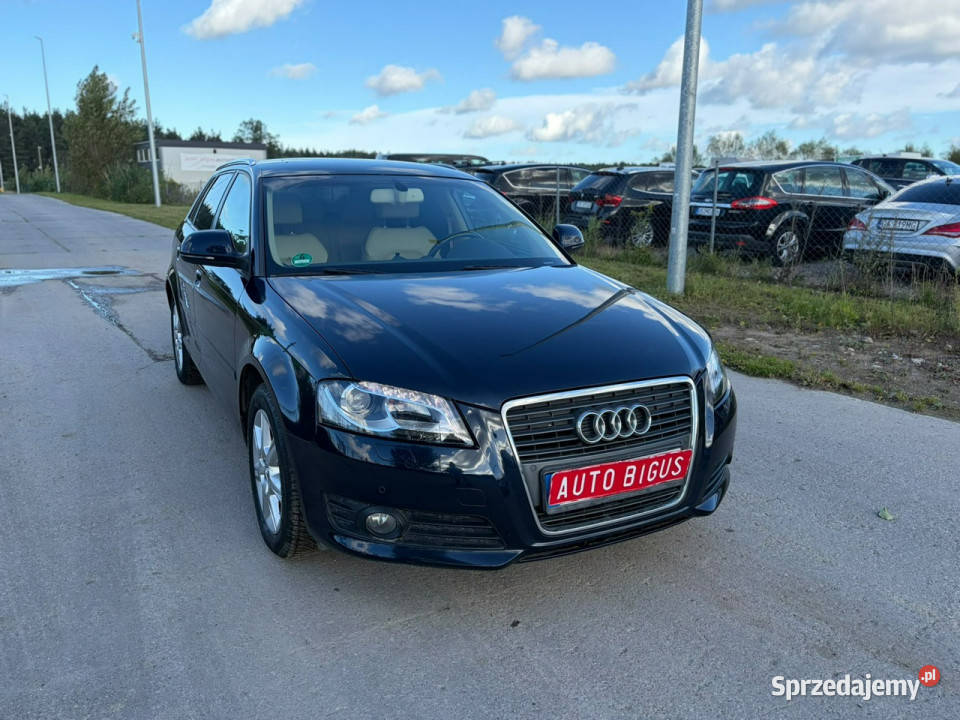 Audi A3 Sportback Climatronic wymieniony rozrząd Lębork