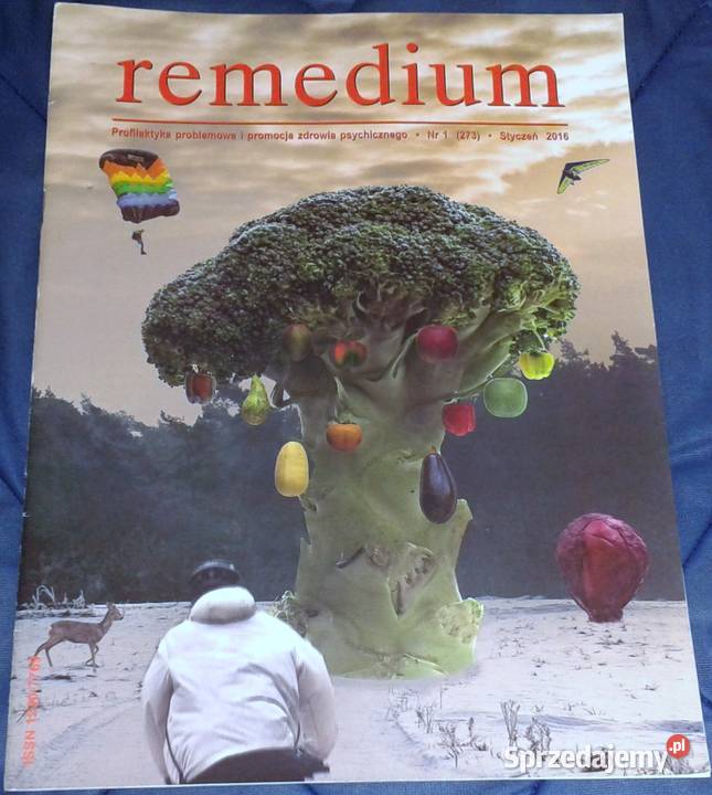 Remedium 1 273 2016 lubelskie Chełm sprzedam