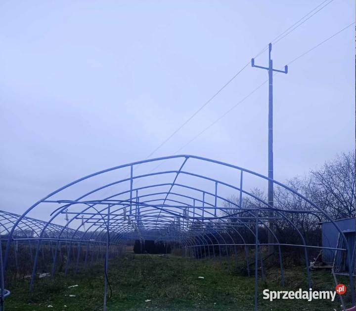 Tunele foliowe gotyk Kraśnik