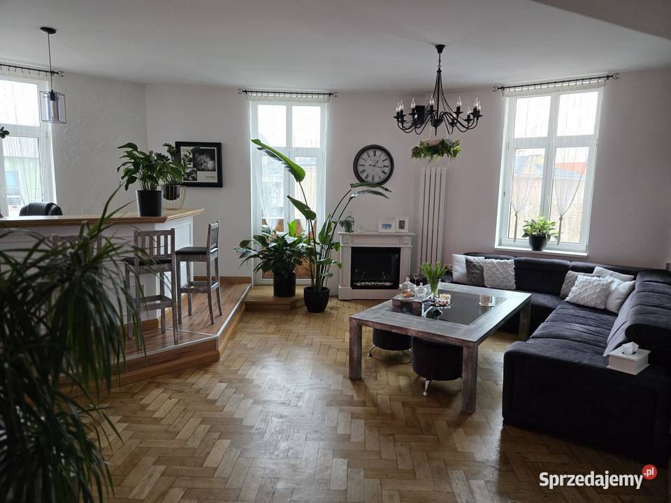 Mieszkanie 122 m w sercu Poznanianajem piwnica Wynajem Poznań sprzedam