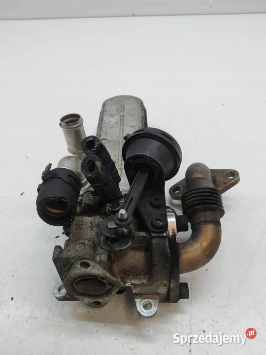 CHŁODNICA SPALIN 03G131513 20 TDI VW Volkswagen