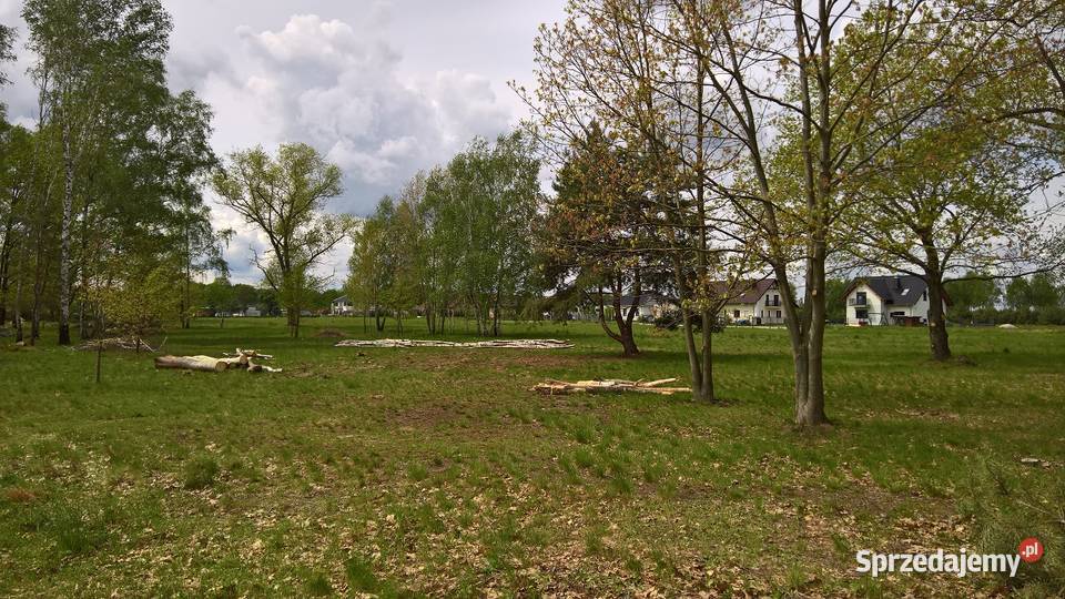 Okazja działka budowlana Gronów gmina Dąbie