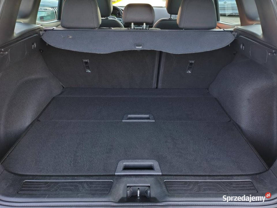 Renault Kadjar 2019r Salon Butelkowa zieleń Poznań