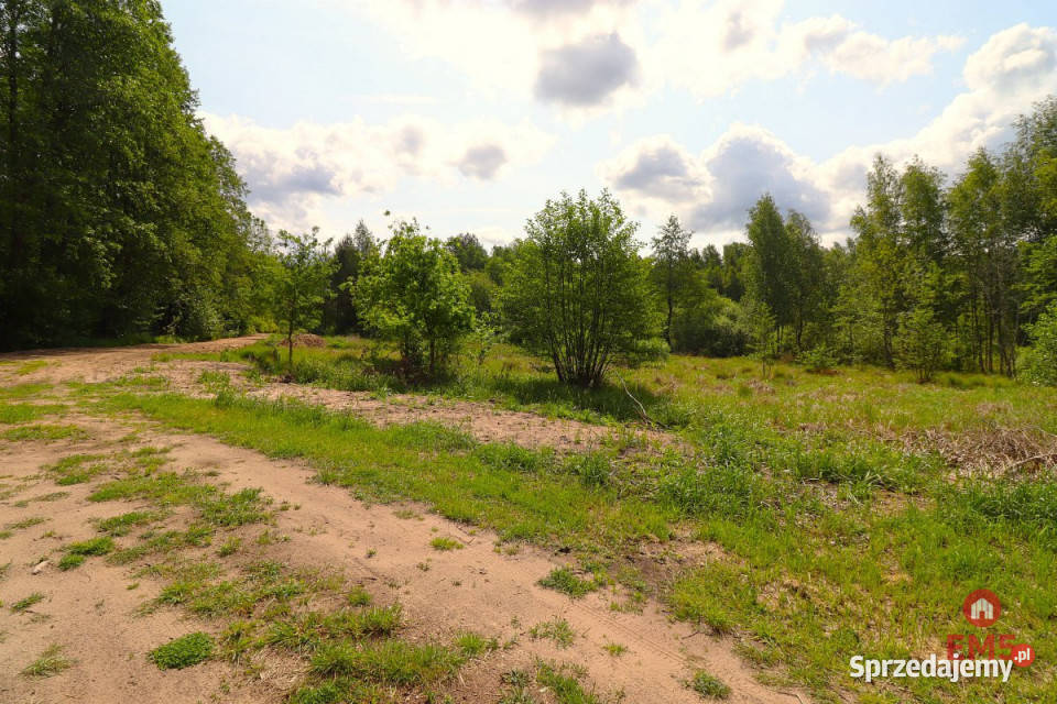Działka do sprzedania Płaska 1420m2 Nieruchomości podlaskie