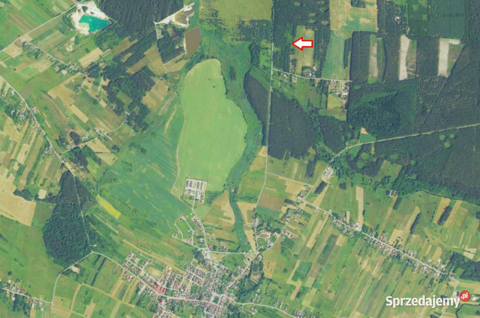 25 Kielc uzbrojona w otoczeniu lasów Sprzedaż