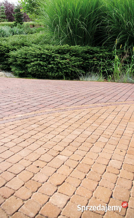 Dado kostka betonowa brukowa Wrocław