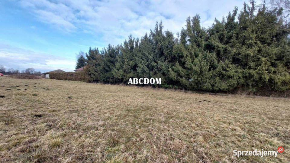 Cholerzyn działka budowlana 8 arów 800m2 sprzedam