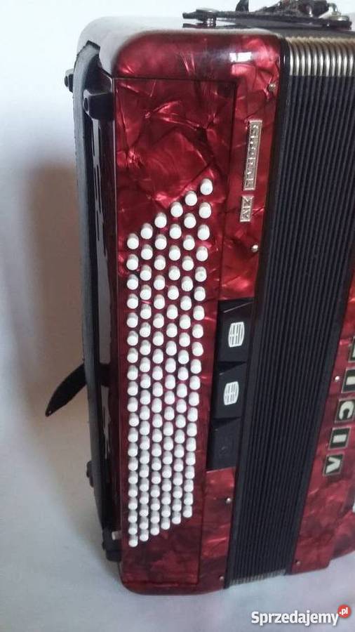 AKORDEON DELICJA 120 Wrocław