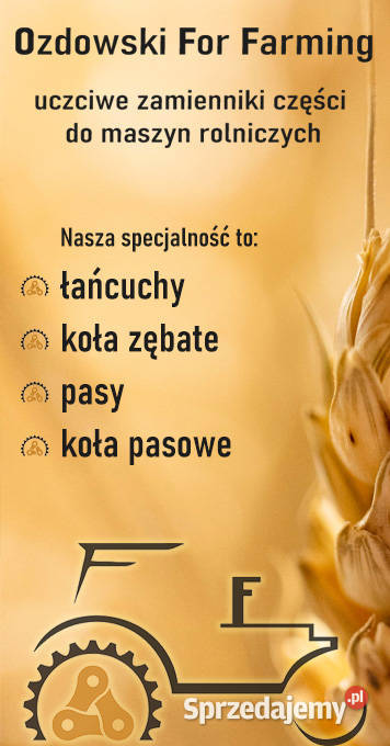 0652313038 ŁAŃCUCH ROLKOWY DO PRASY SIPMA 1223 Kłodzko