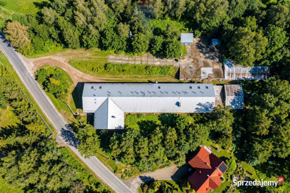 Nieruchomość Przemysłowa Fabryka Manekinów Radziszów
