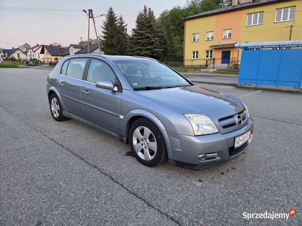 Opel Signum 22 DTI 125 HAK Bezwypadkowy Ładny nieuszkodzony Nowy Sącz sprzedam