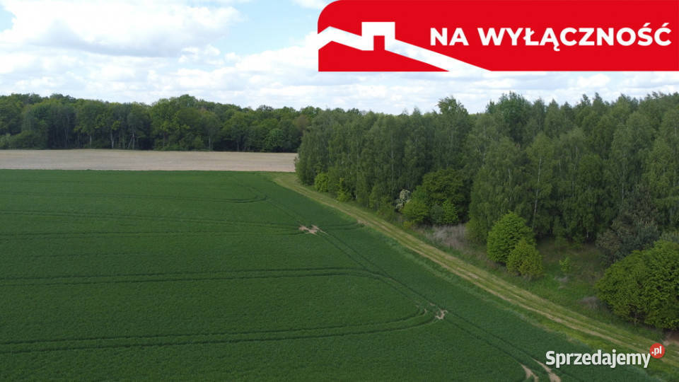 Działka 215 ha z potencjałem koło Nałęczowa polna Chruszczów-Kolonia