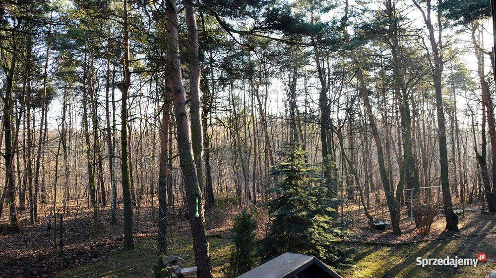 dom dąbrowa górnicza antoniów ogródek Dąbrowa Górnicza