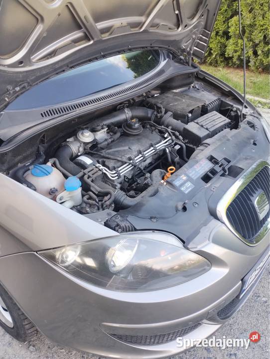 Seat altea 19 tdi Mechlin