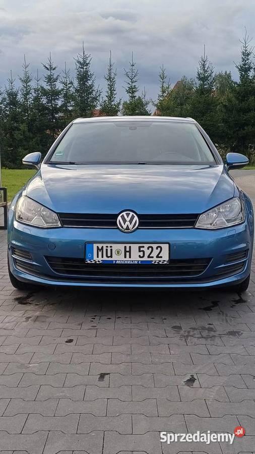 Volkswagen Golf 2013 16 TDI Motoryzacja Węgorzewo