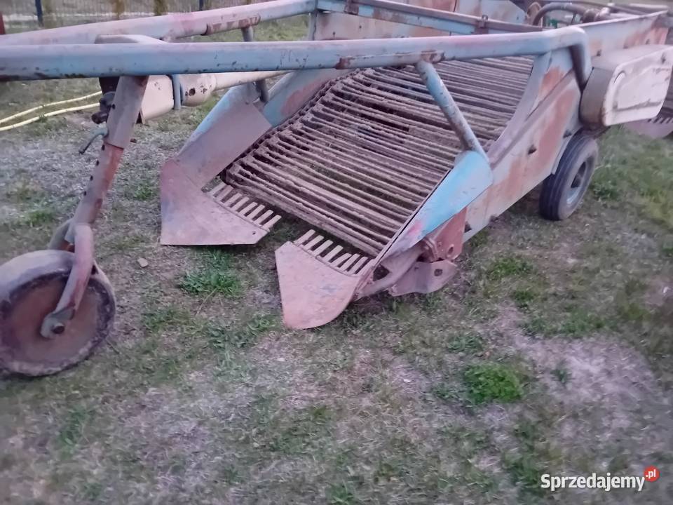 Kopaczka elewatorowa taśma metalowa Ryki