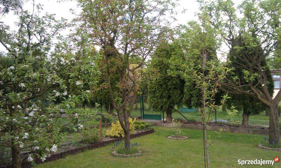 ogródek działkowy 140zł/m2 wielkopolskie Koziegłowy