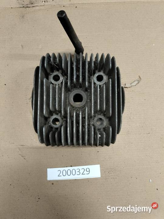 Dzik 2 głowica Pozostałe Rozkochów sprzedam