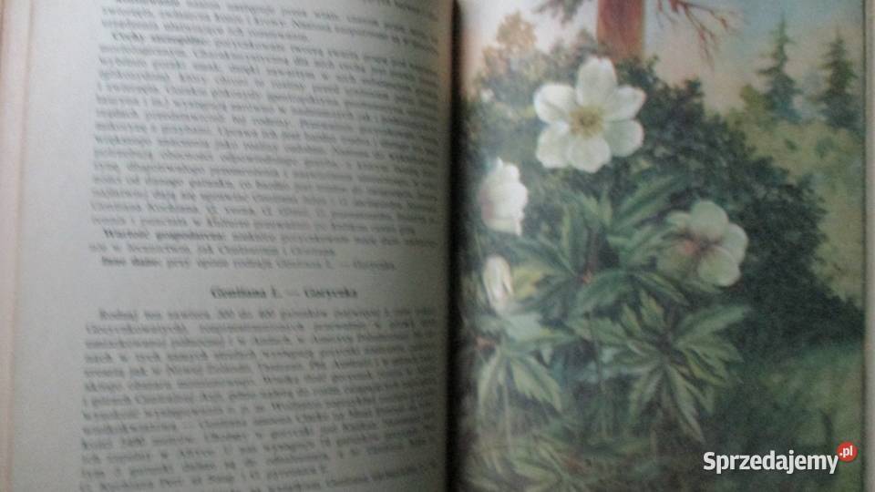 Ochrona roślin w PolsceLeonidas Świejkowski Łódź