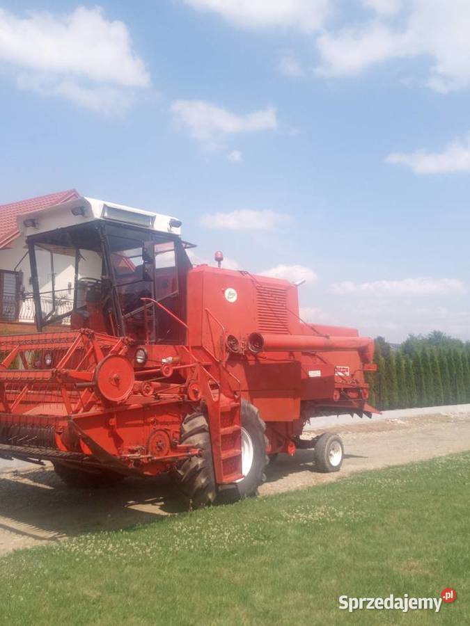 Bizon Super zo56 Kołaczyce