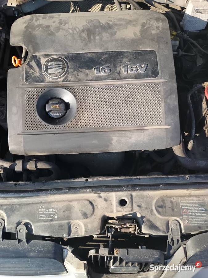 Seat Leon na części silnik16 skrzynia biegów lubelskie Łęczna