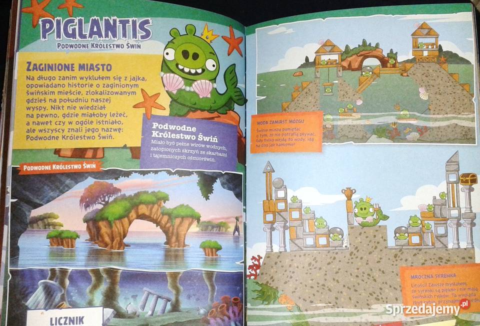 Angry Birds Kolorowy świat Oficjalny przewodnik lubelskie Chełm