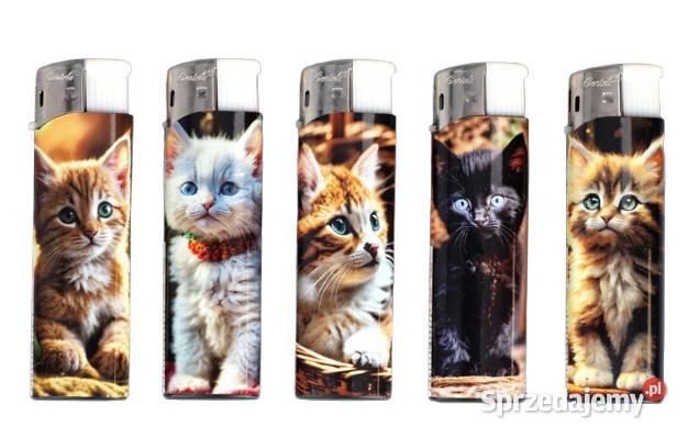 Zestaw 5 sztuk Klasycznych Zwykłych Zapalniczek Dom i Ogród śląskie Ostrowy nad Okszą