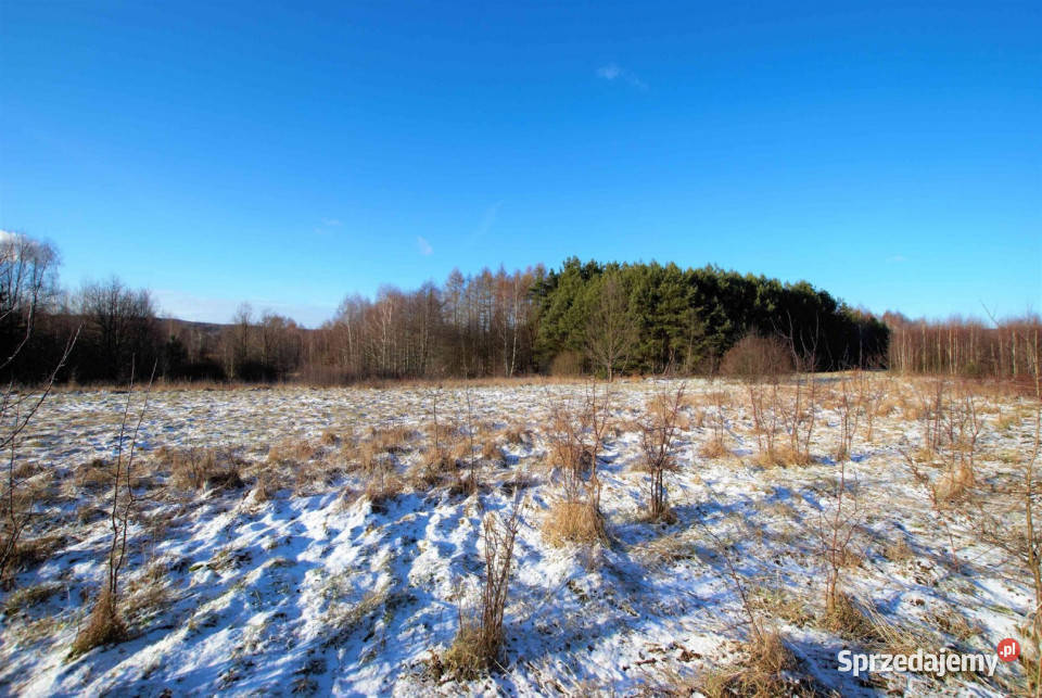 Działka Ćmińsk 6600m sprzedam