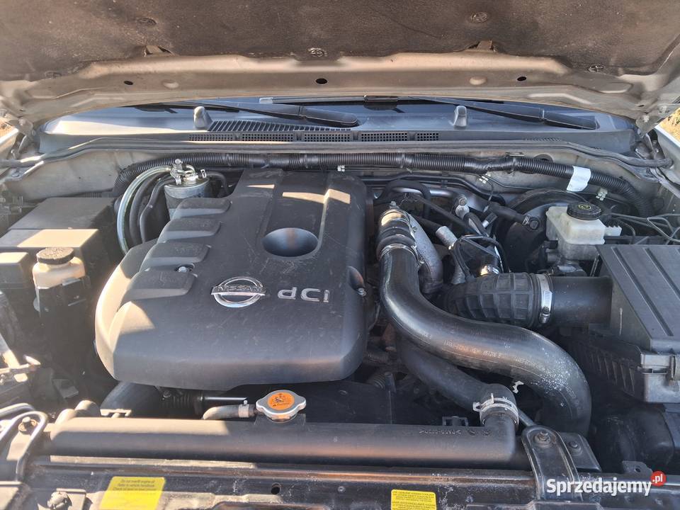 Nissan navara d40 25 manualna Lubsko sprzedam