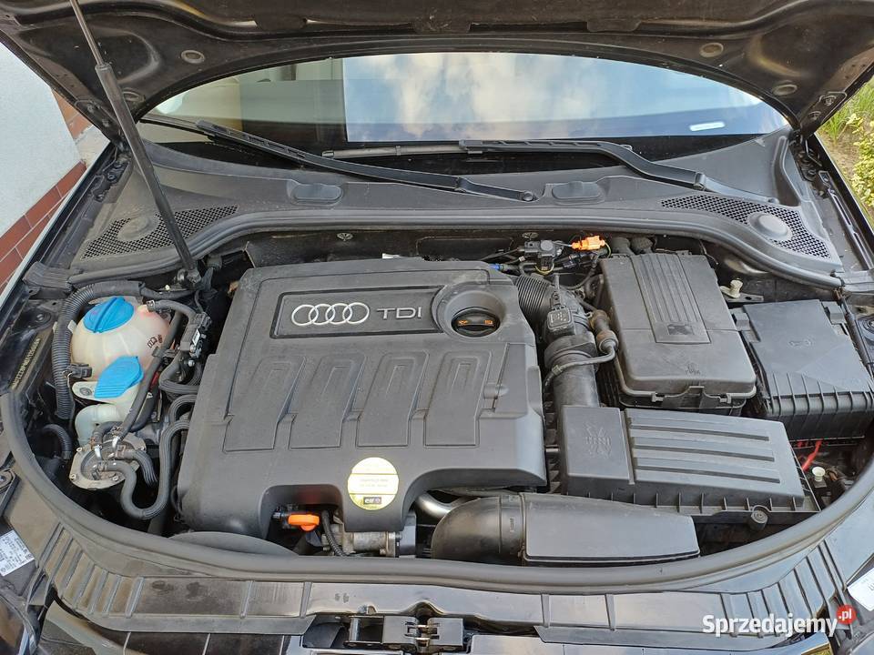 Audi A3 8P Lift 16 TDI przebieg 128 Ostrów Wielkopolski sprzedam